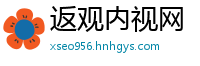 返观内视网