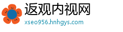 返观内视网